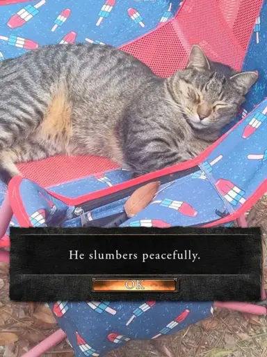 Cat sleeping on a chair with a video game popup reading "He slumbers peacefully"
