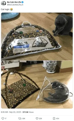 "Cat logic:" Picture of a cat with a new toy next to it. Next a picture of the cat in the bag the toy came with the toy laying beside it, unused