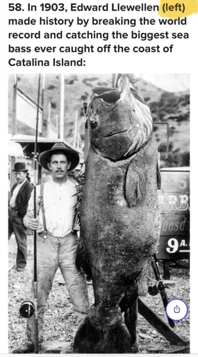 In 1903, Edward LLewellen (left) made history by breaking the world record and catching the biggest sea bass ever caught off the coast of Catalina Island